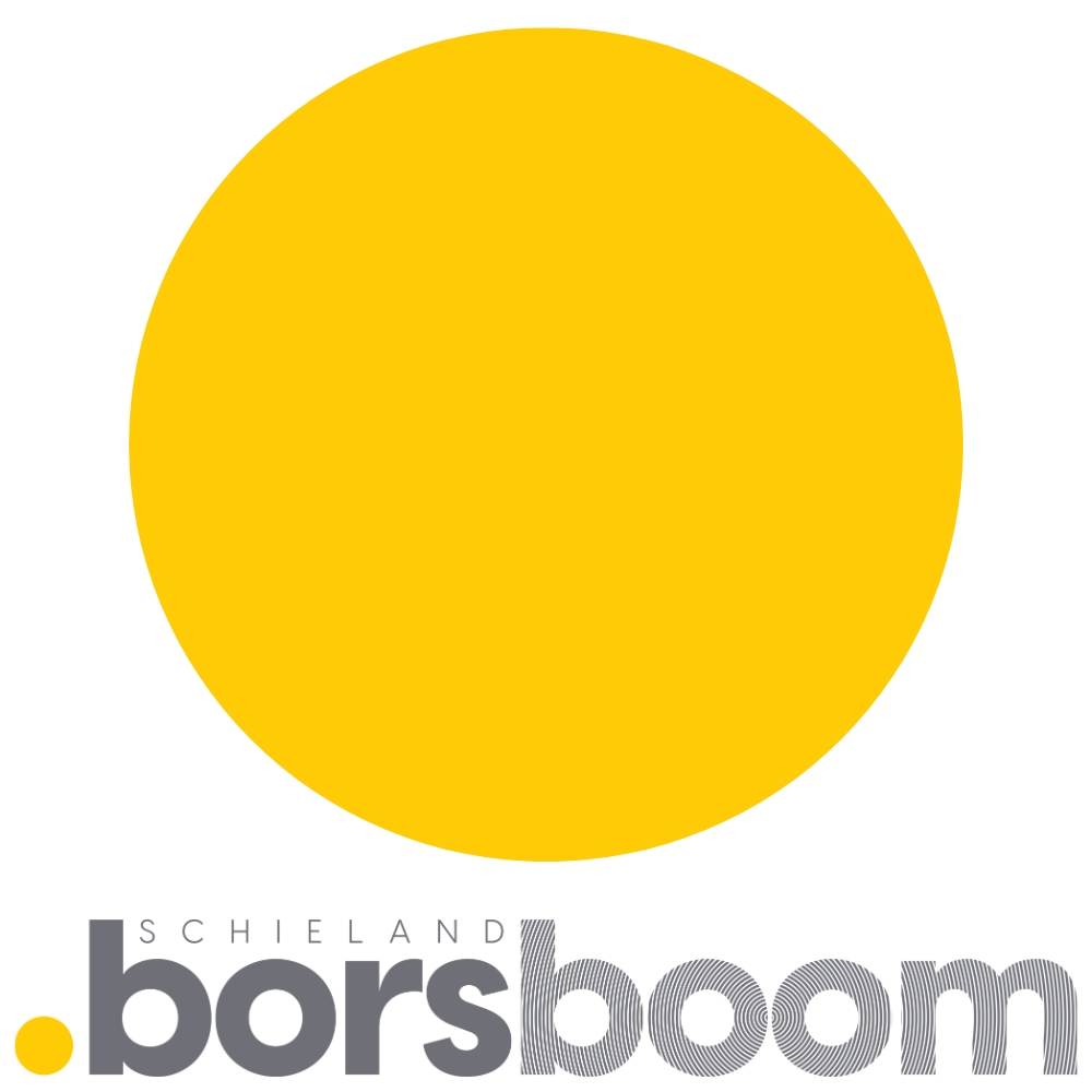 logo van Schieland Borsboom NVM Makelaar | Zoetermeer | Den Haag | Rotterdam